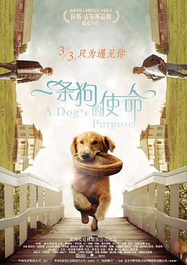 午夜精品国产