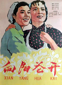 发展动态